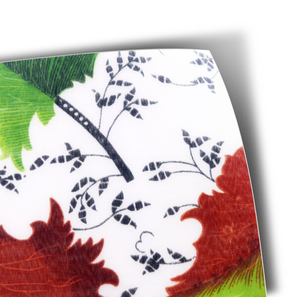 Polypropylene Sheet